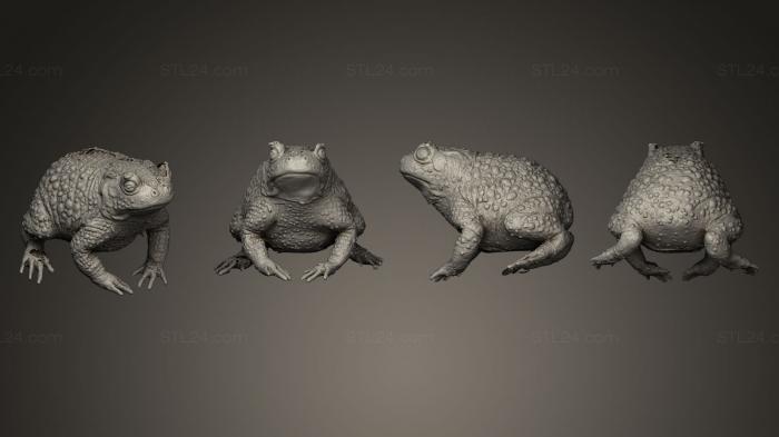 Animal figurines (Sapo made in china, STKJ_0427) 3D models for cnc